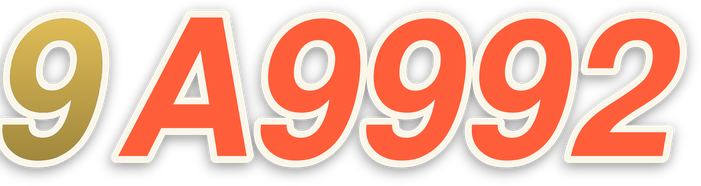 9a9992